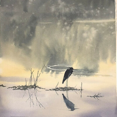 Backyard Birder Opps's avatar